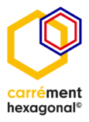 logo-showroom_carrément-Hexagonal-V Logo carrément héxagonal